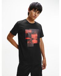 Calvin Klein T-Shirt aus Bio-Baumwolle mit grafischem Print - Schwarz
