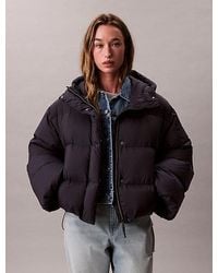 Calvin Klein - Kurze Daunenjacke - Lyst