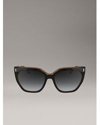Calvin Klein - Butterfly Sunglasses - Lyst