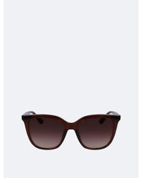 Calvin Klein Modified Rectangle Sunglasses - Brown