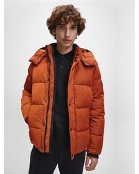 calvin klein shiny detachable hood puffer jacket in black