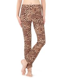 تنتهي العادي تراكم leggins leopardo calzedonia - kouraniyat.com