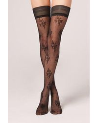 Calzedonia - 40 Denier Tulle Hold-Ups With Lace Frill - Lyst