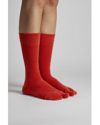 Camper Hastalavista Socks - Red