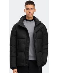 Canada Goose - Everett Puffer - Lyst