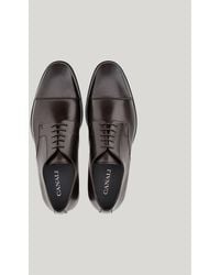 Canali - Dark Derby Shoes With Calfskin Toe Caps - Lyst