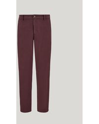 Canali - Eggplant Comfort Cotton Gabardine Chinos - Lyst