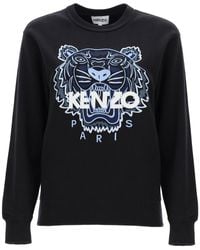 kenzo cropped sweater