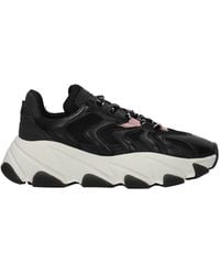 ash shoes outlet