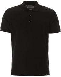 polo dior