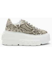Casadei - Nexus Basilisco Sneaker - Lyst