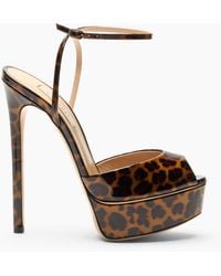 Casadei - Flora Platform Panthera Sandal - Lyst