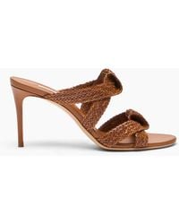 Casadei - Julia Mariposa Mule - Lyst