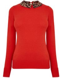 Oasis Animal Collar Knit - Red