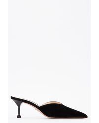 prada mules