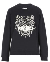 kenzo sweaters sale