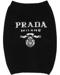 Prada - Logo-intarsia Dog Sweater - Lyst