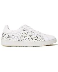 Twin Set - Laser-cut Lace-up Sneakers - Lyst