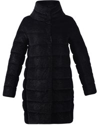 Herno Padded Coat - Black