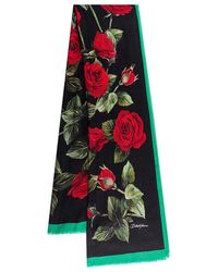 Dolce & Gabbana Rose-printed Frayed Edge Scarf - Multicolor