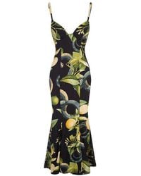 Roberto Cavalli - Lemon Printed Flared Sleeveless Dress - Lyst