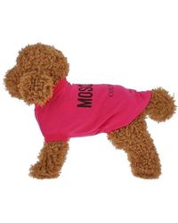 Moschino - Logo Printed Jersey Dog T-shirt - Lyst