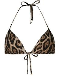Dolce & Gabbana - Leopard Print Bikini Top - Lyst