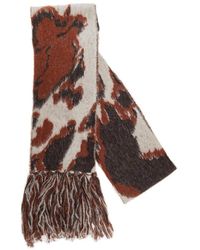 Stella McCartney - Patterned Intarsia Knitted Fringed Scarf - Lyst