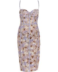 butterfly ladies clothing
