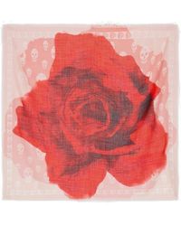 Alexander McQueen - Rose Printed Frayed-edge Scarf - Lyst
