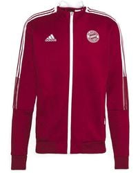adidas Jackets for Men | Online Sale up 