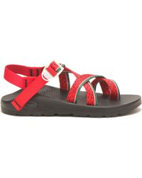 watermelon chacos