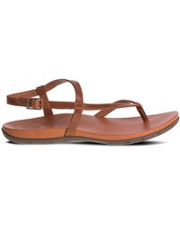 chaco rowan thong sandal