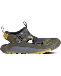 olive green chacos