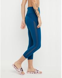Champion Leggings for Women | Online 