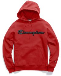 furry champion hoodie