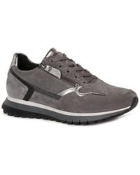 Gabor - Hollywell Trainers - Lyst