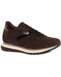 Gabor - Harp Trainers - Lyst