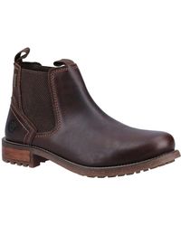 Cotswold Hartpury Chelsea Boots - Brown