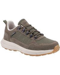 Cotswold - Elmfield Lace Up Shoes - Lyst