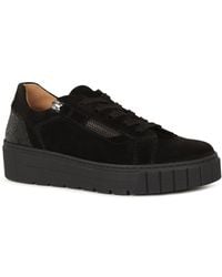 Gabor - Ferry Trainers - Lyst