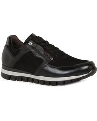 Gabor - Willet Trainers - Lyst