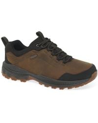 Merrell Forestbound Waterproof Trainers - Brown