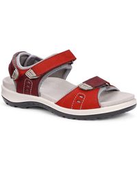 Hotter - Walk Ii Sandals - Lyst