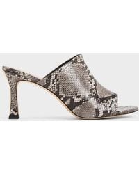 Charles & Keith - Snake-print Round-toe Heeled Mules - Lyst