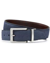 clarks belts