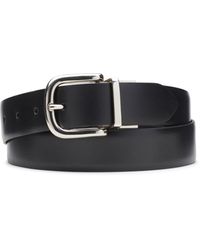 clarks belts