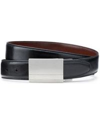 clarks belts