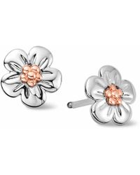 Clogau - Nature's Wonder Sterling Forget-Me-Not Stud Earrings - Lyst