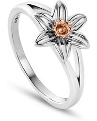 Clogau - Nature's Wonder Sterling Daffodil Ring - Lyst
